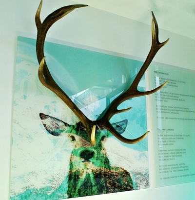 Hirschbild modern