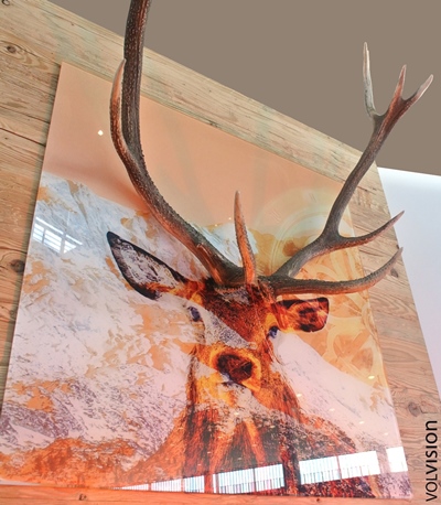 Kunst Vorarlberg Hirschbild modern
