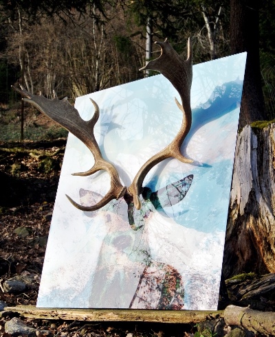 Kunst Vorarlberg Hirschbild modern